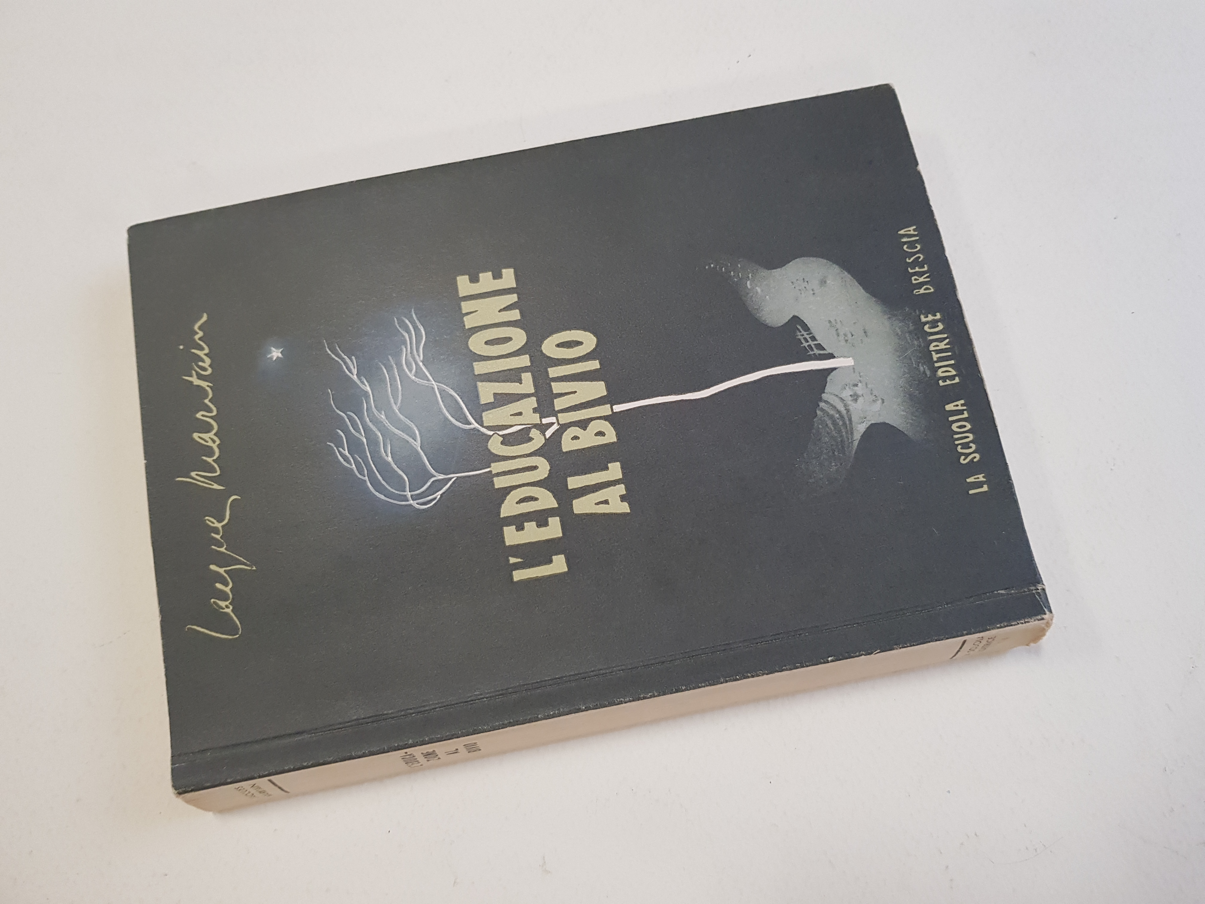 L'educazione al bivio.