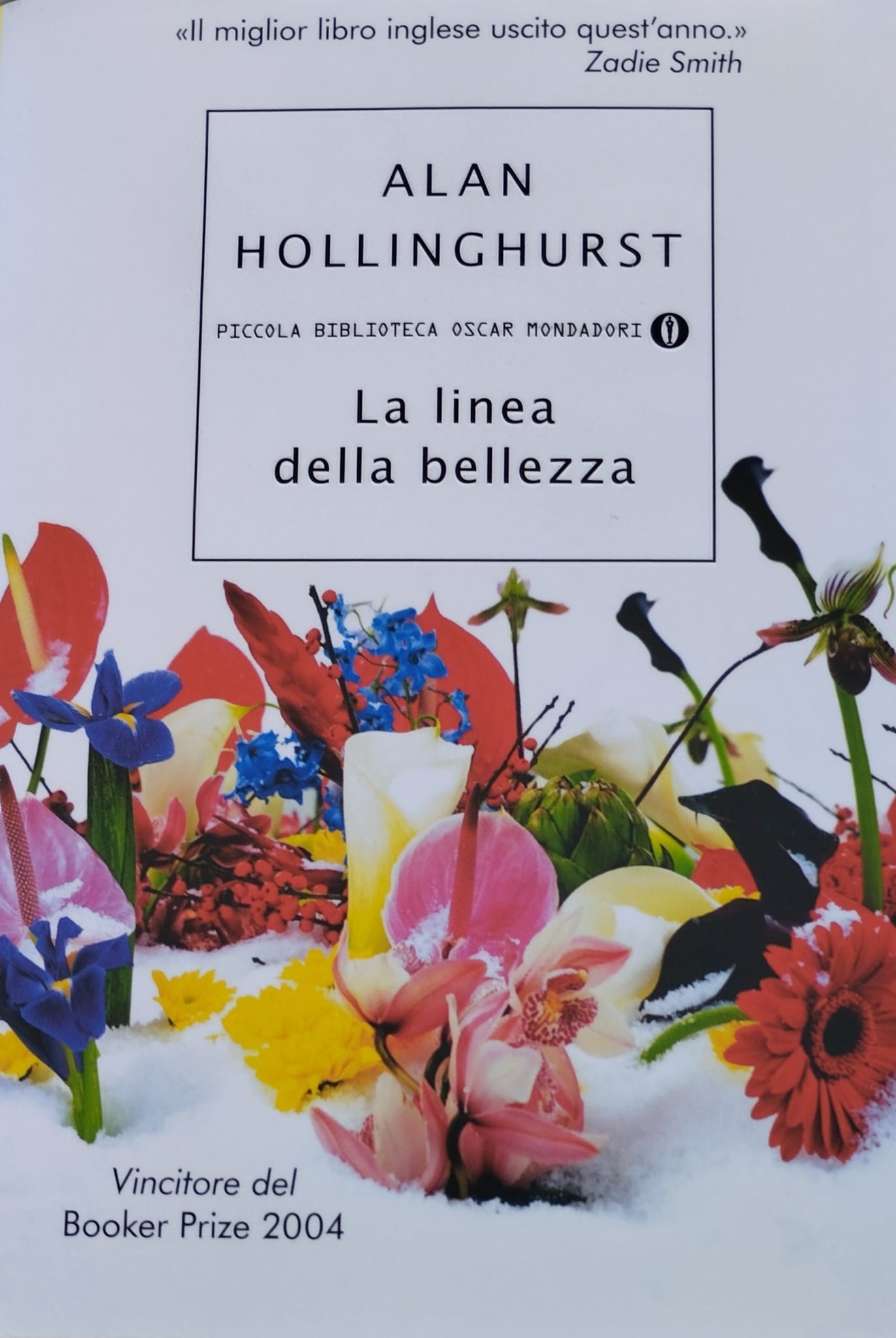 La linea della bellezza