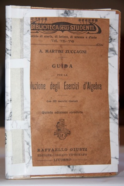 Guida per la risoluzione degli esercizi d’algebra