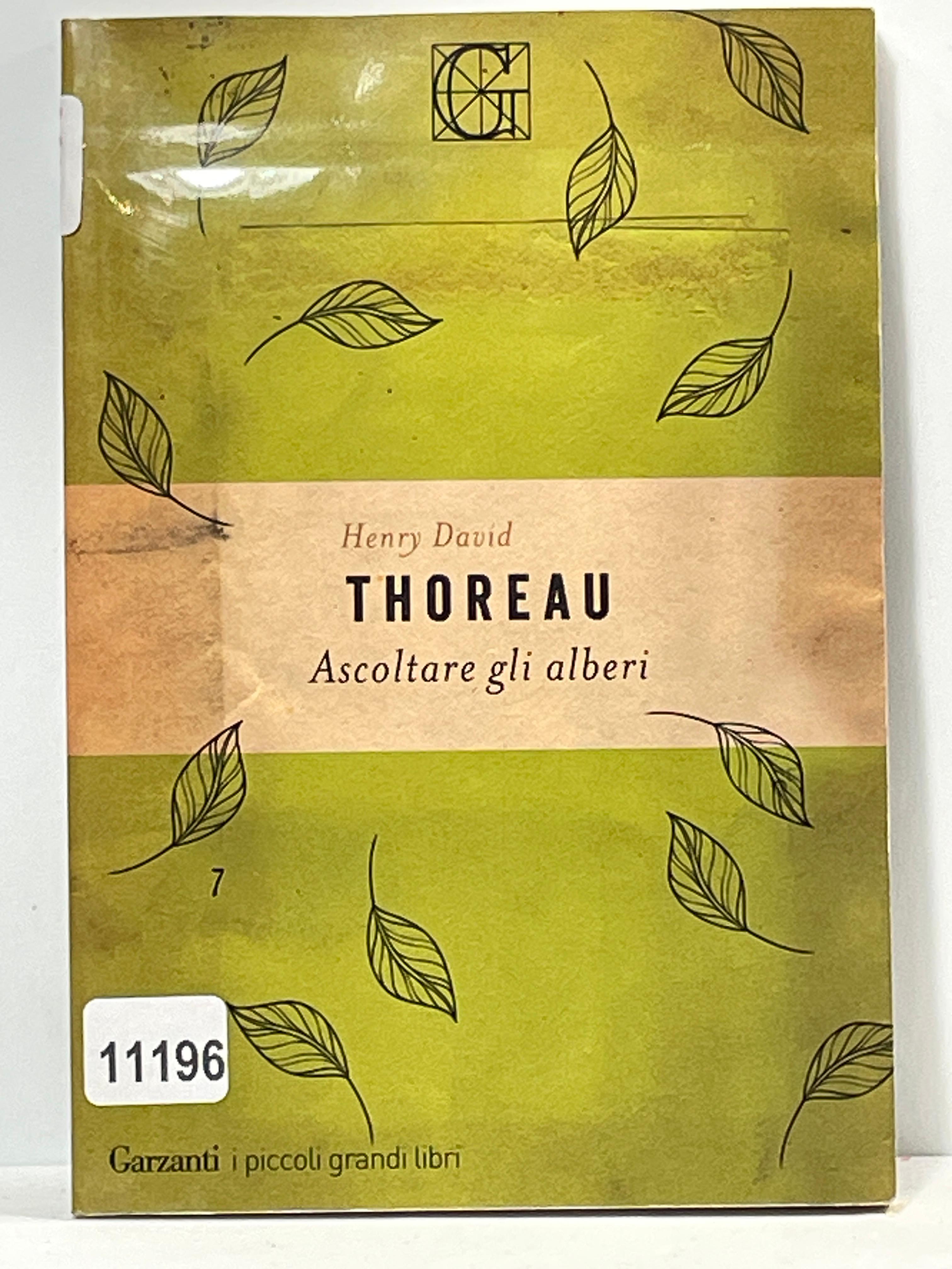 Ascoltare gli alberi