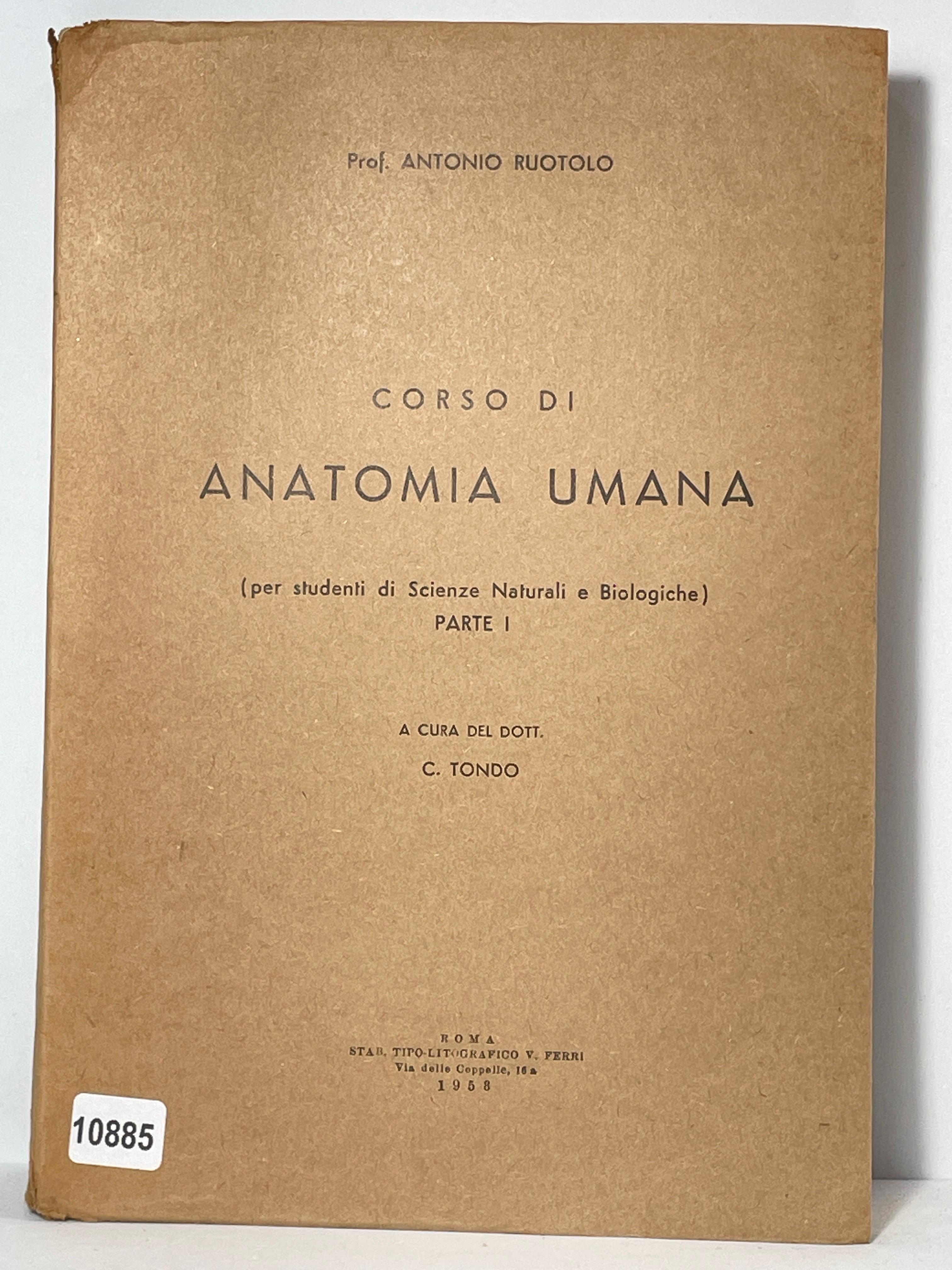 Corso di Anatomi Umana (per studenti di scienza naturali e …