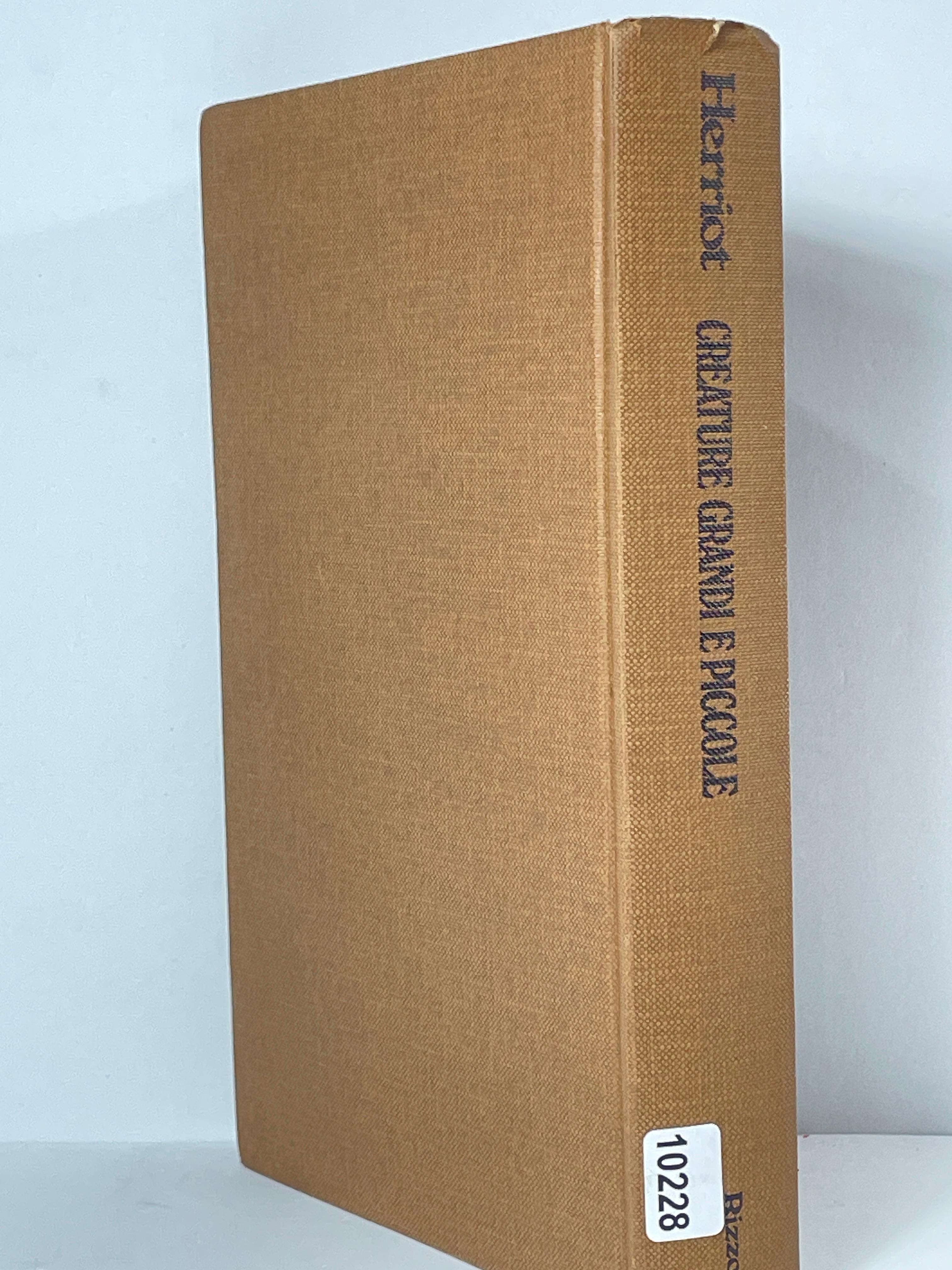 Creature grandi e piccole