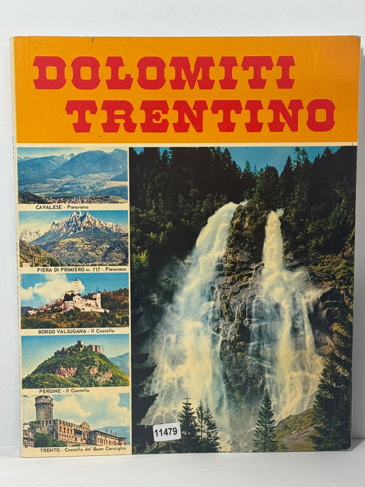 Dolomiti Trentino - Cavalese - Panorama - Fiera di Primiero …