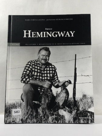 Ernest Hemingway Icon 15