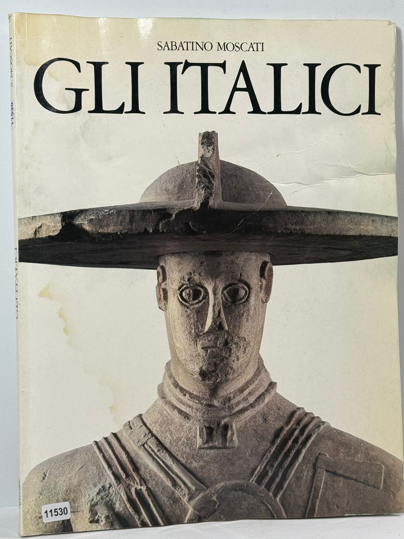 Gli italici