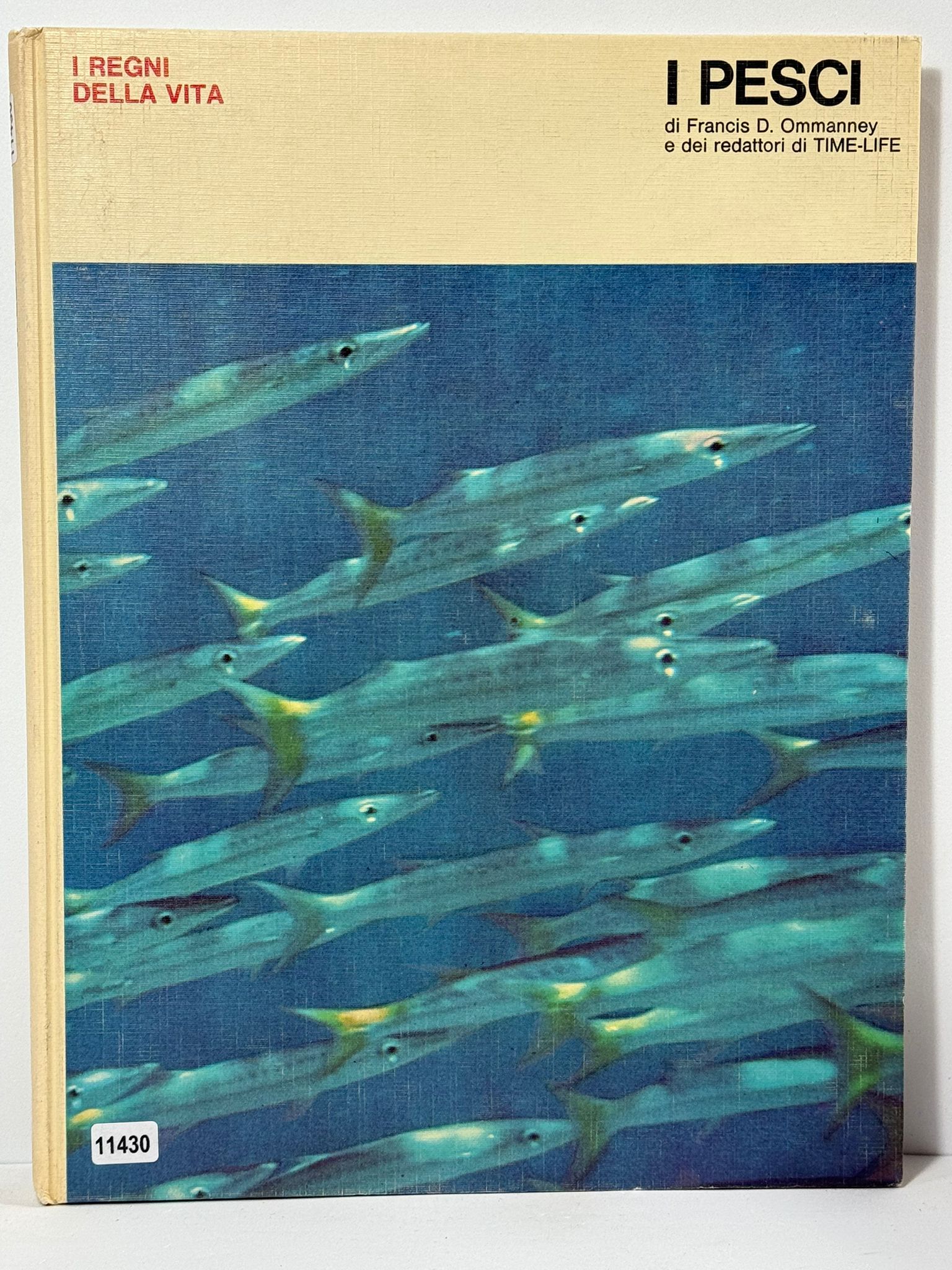 I Pesci - I regni della Vita