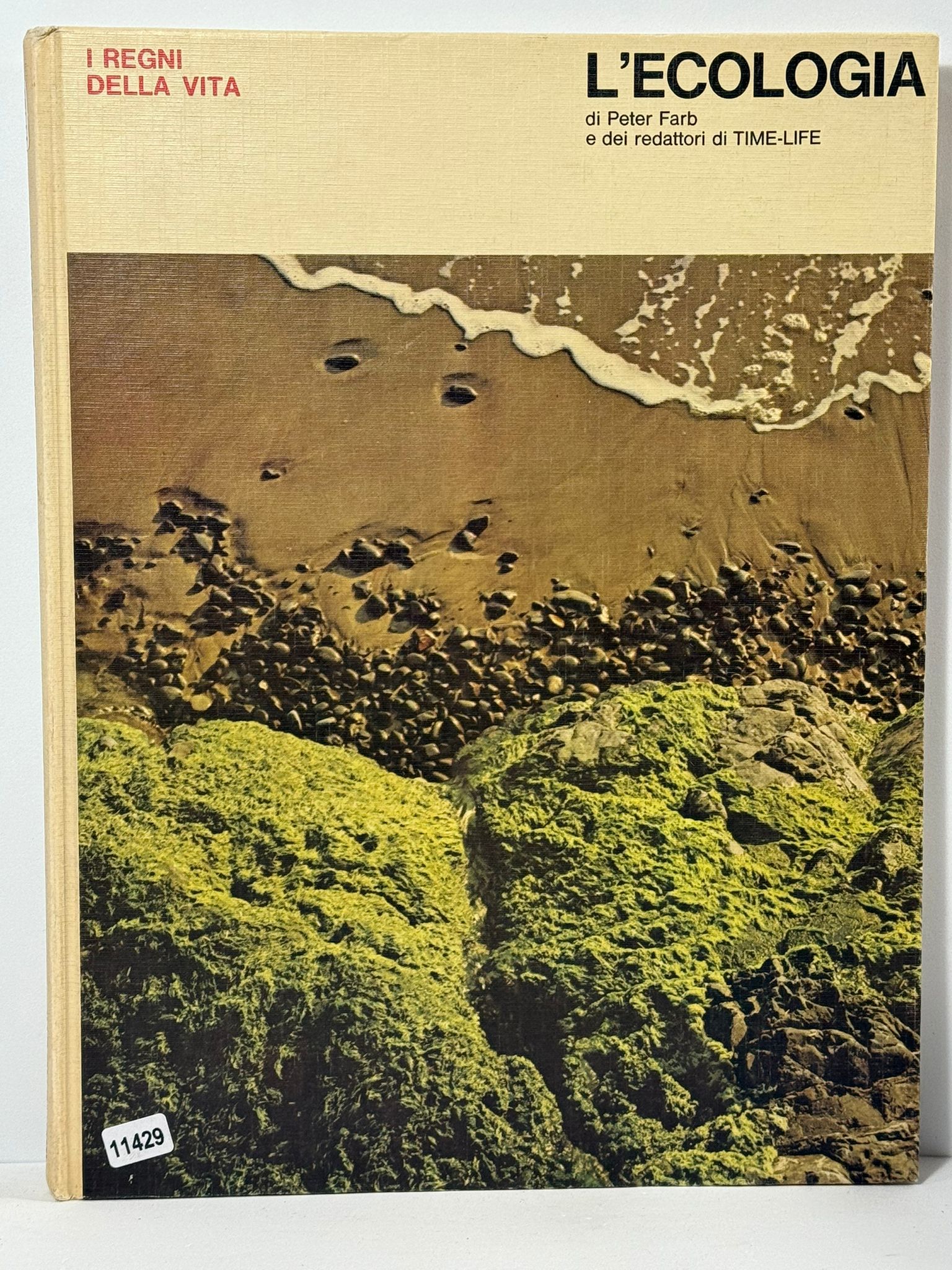 I Regni della Vita - L'Ecologia