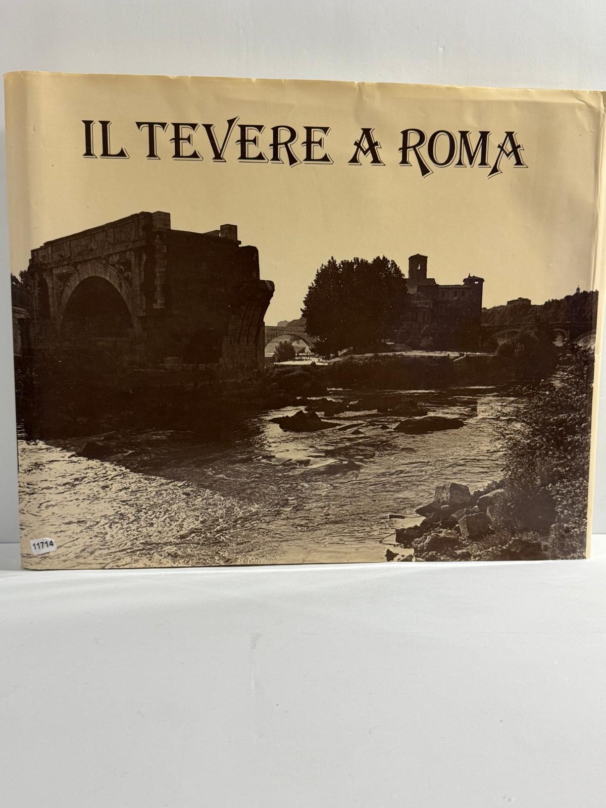 IL Tevere a Roma