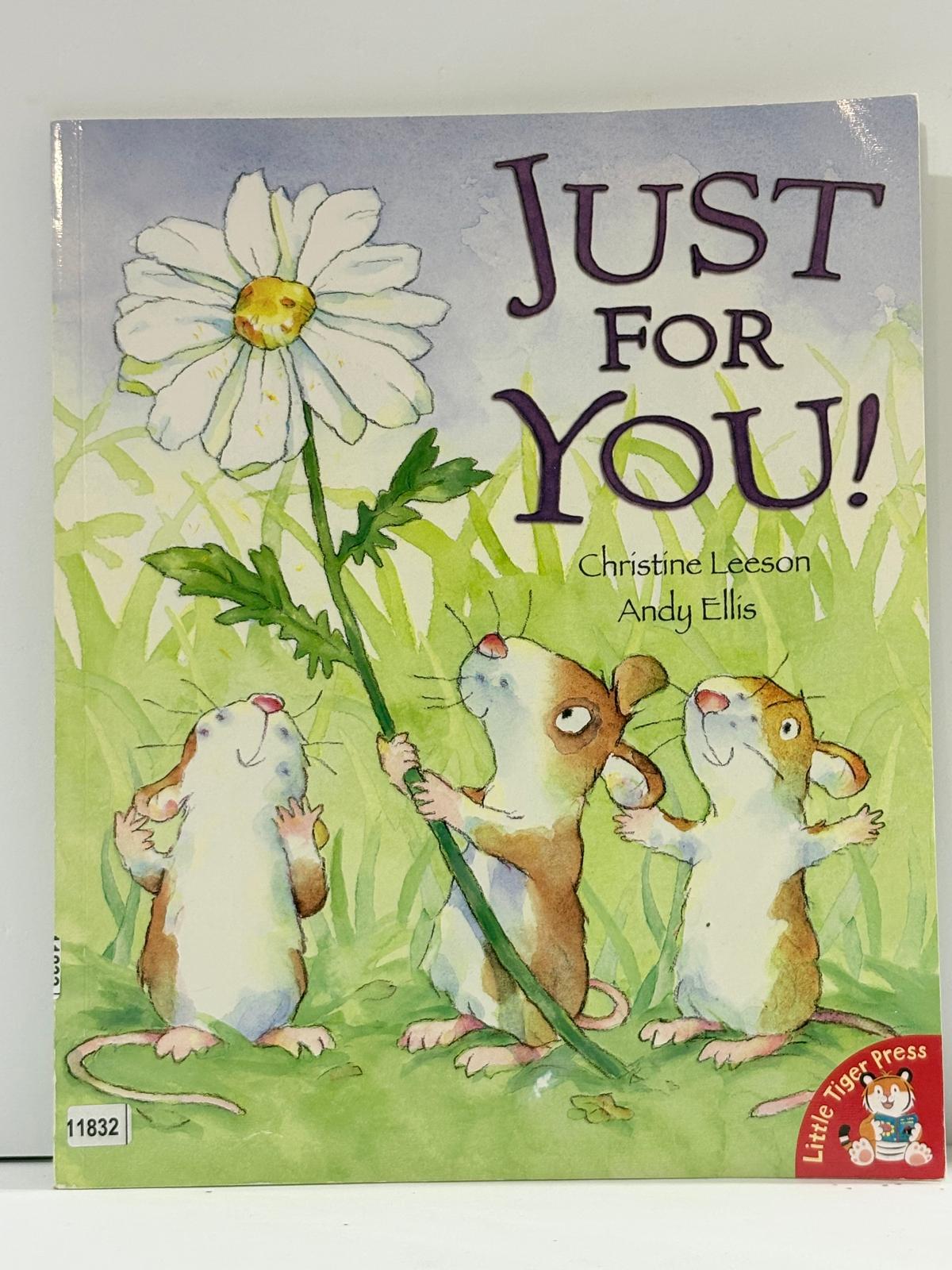 Just for You! by Christine Leeson (2008-03-01)