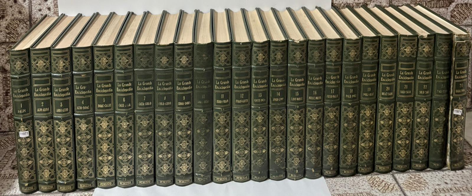 la grande Enciclopedia peruzzo 24 Vollume [ 1 A-ALPI , …