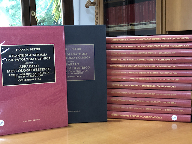Netter Atlante di Anatomia Fisiopatologia e Clinica - Collana completa …