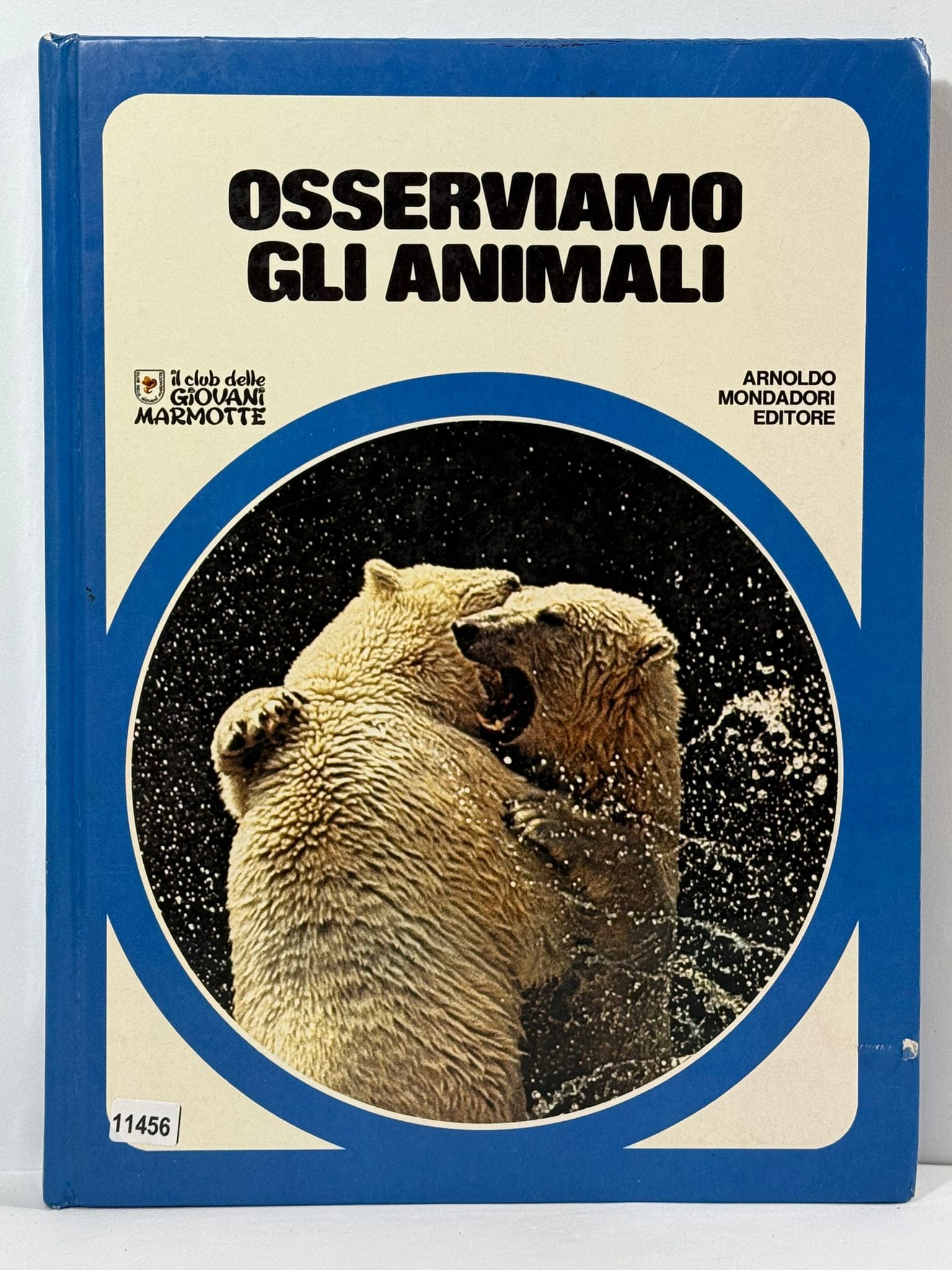 Osserviamo gli Animali