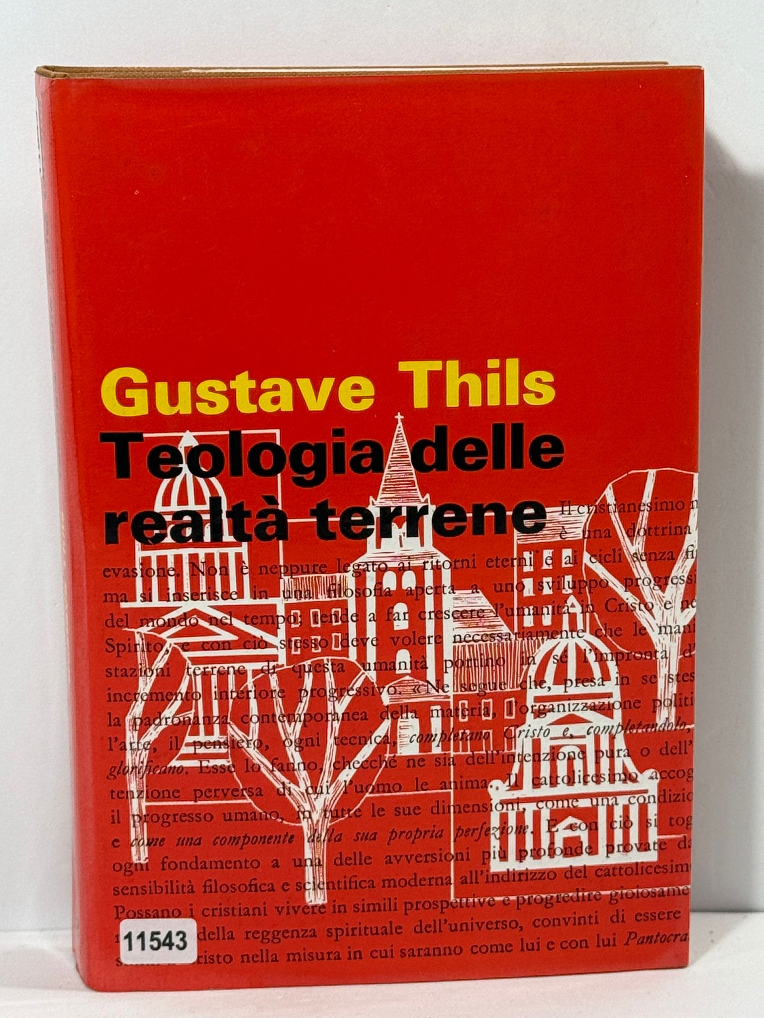 Teologia delle realtŕ terrene