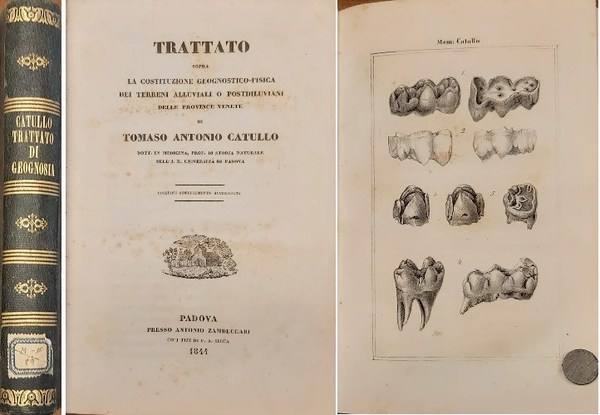 TRATTATO sopra la costituzione geognostico-fisica dei terreni alluviali o postdiluviani …