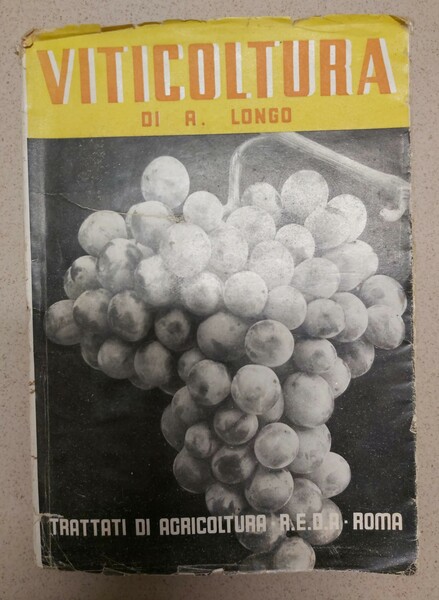 VITICOLTURA per uve da tavola con riferimento anche ai sistemi …