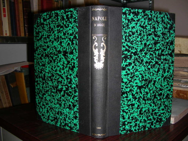 NAPOLI D'OGGI.