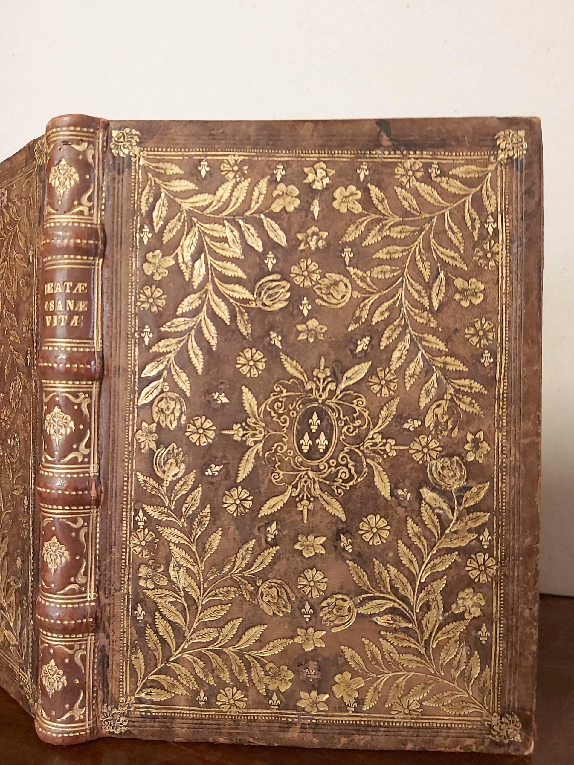 BEATAE OSANNAE MANTUANAE de tertio habitu Ord. Fratrum praedicatorum Vita …