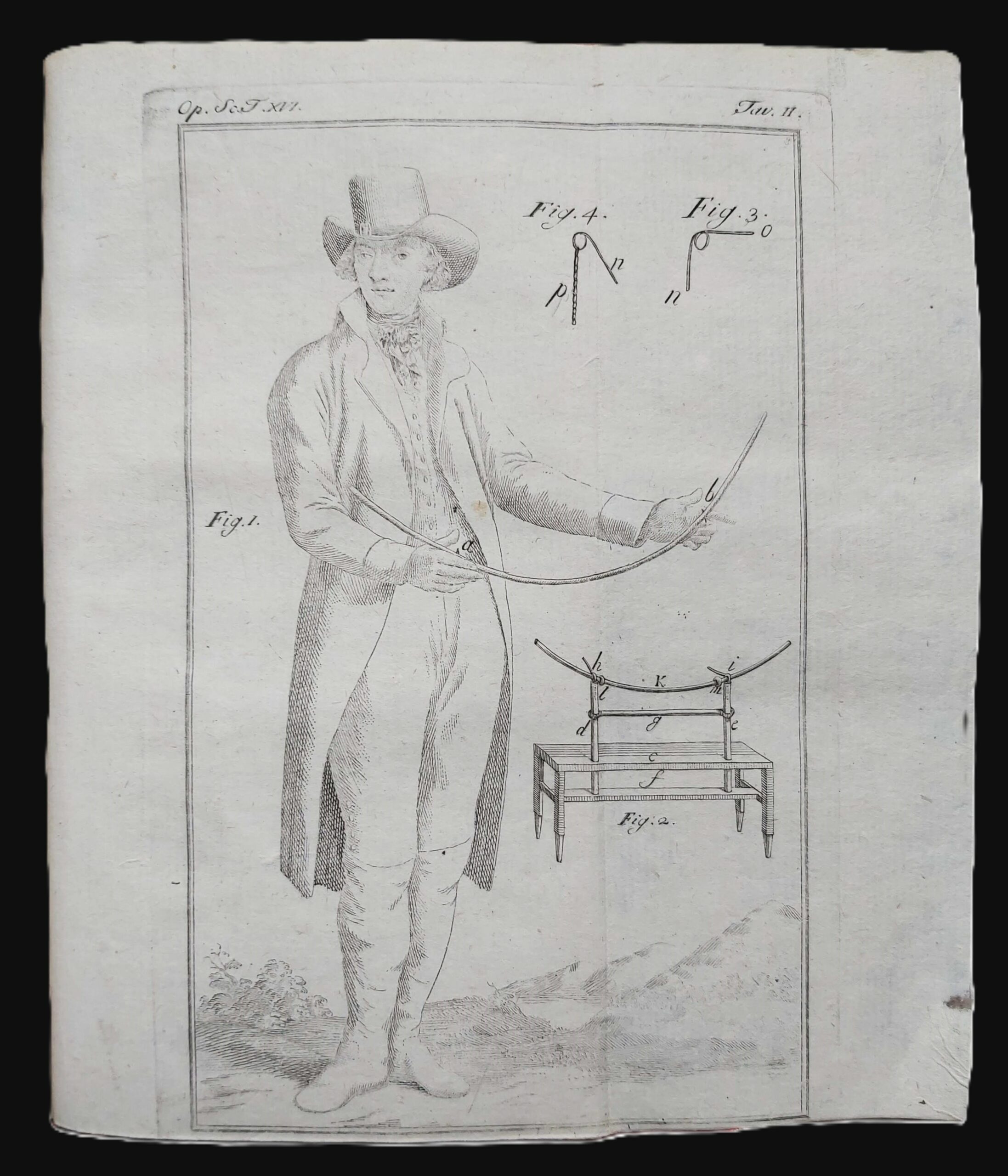 ELEMENTI DI ELETTROMETRIA ANIMALE del Cavaliere.