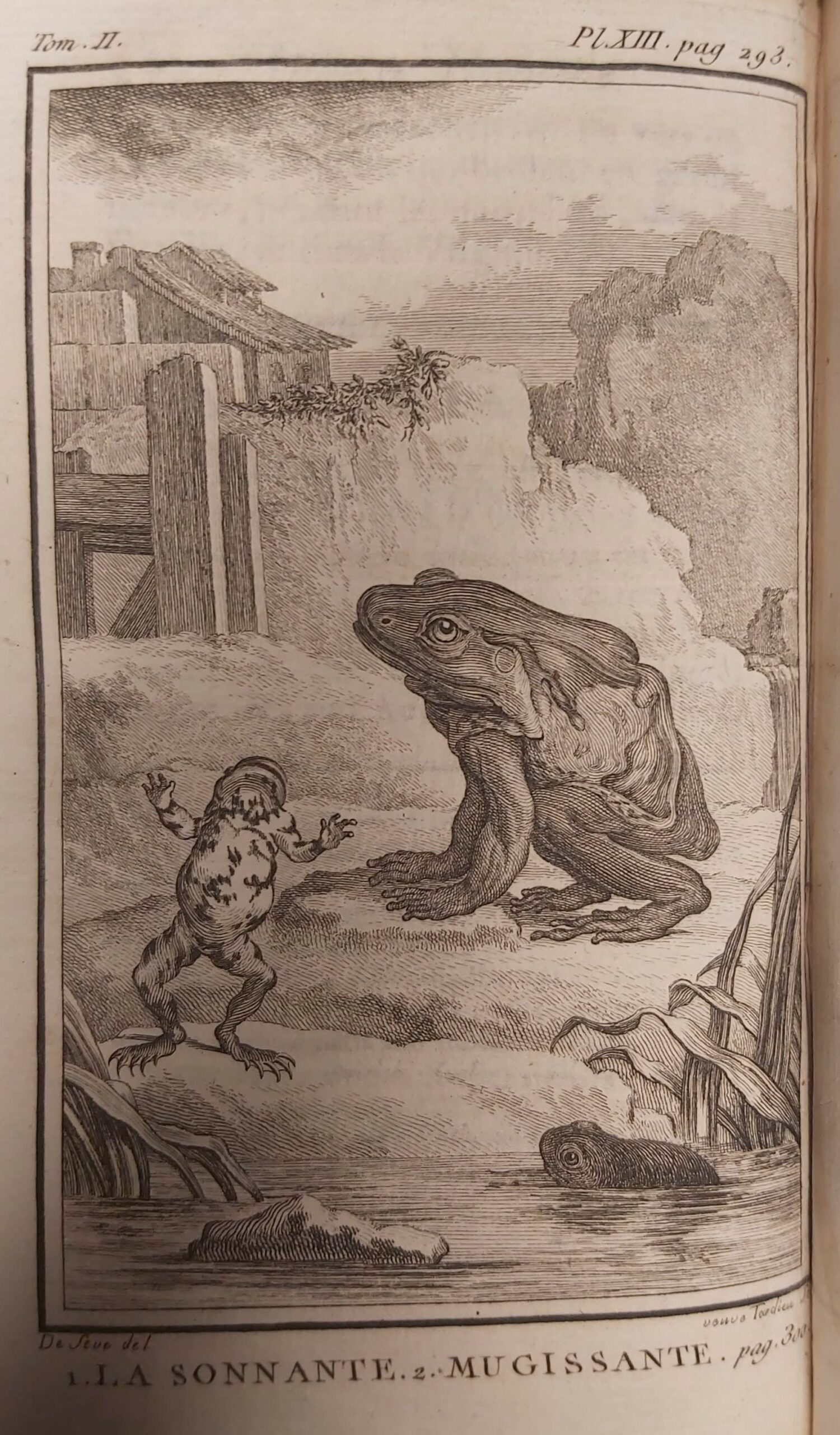 HISTOIRE NATURELLE des quadrupedes ovipares et des serpens.