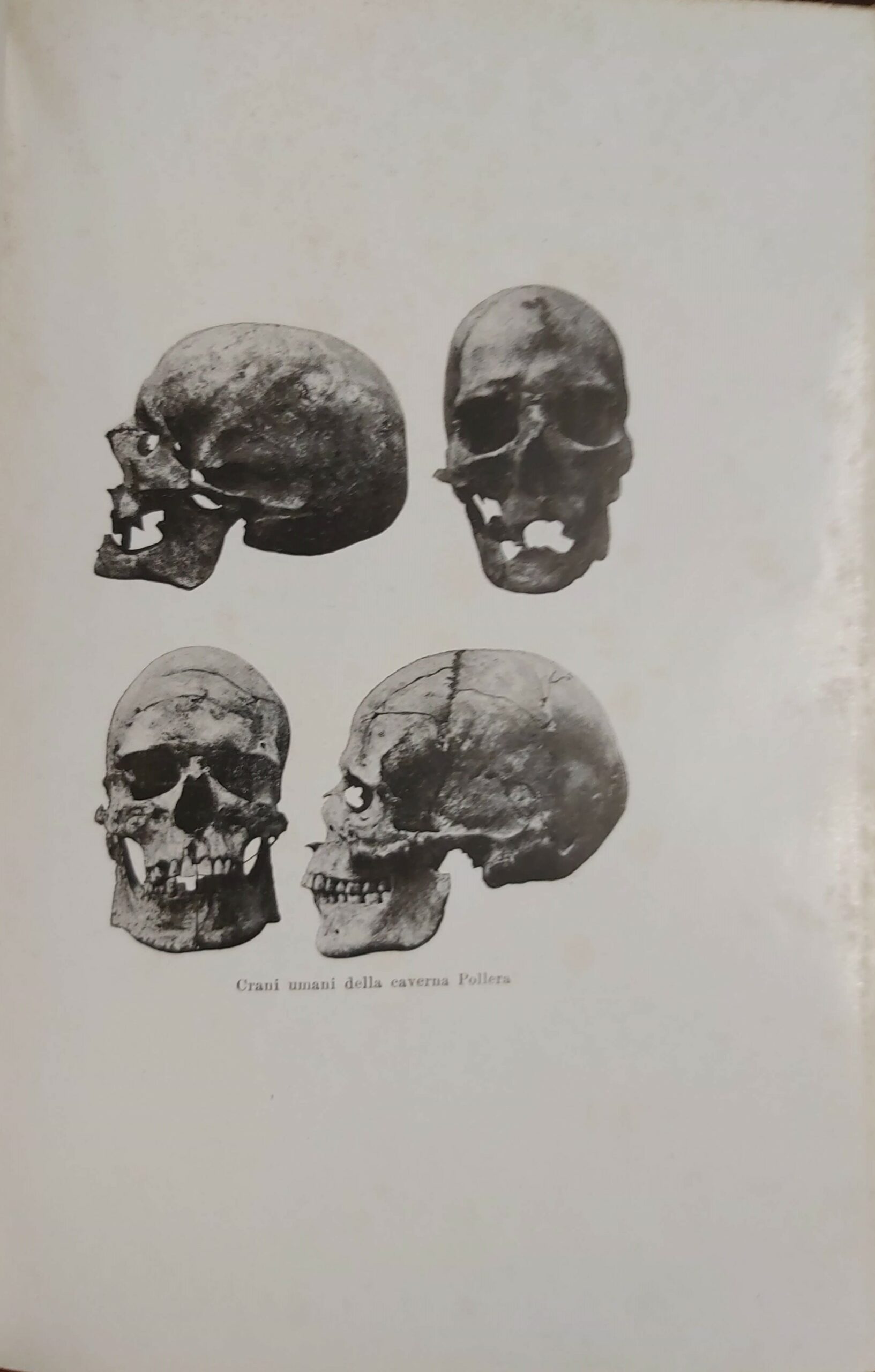 LA VILLETTA DI NEGRO e il museo geologico.