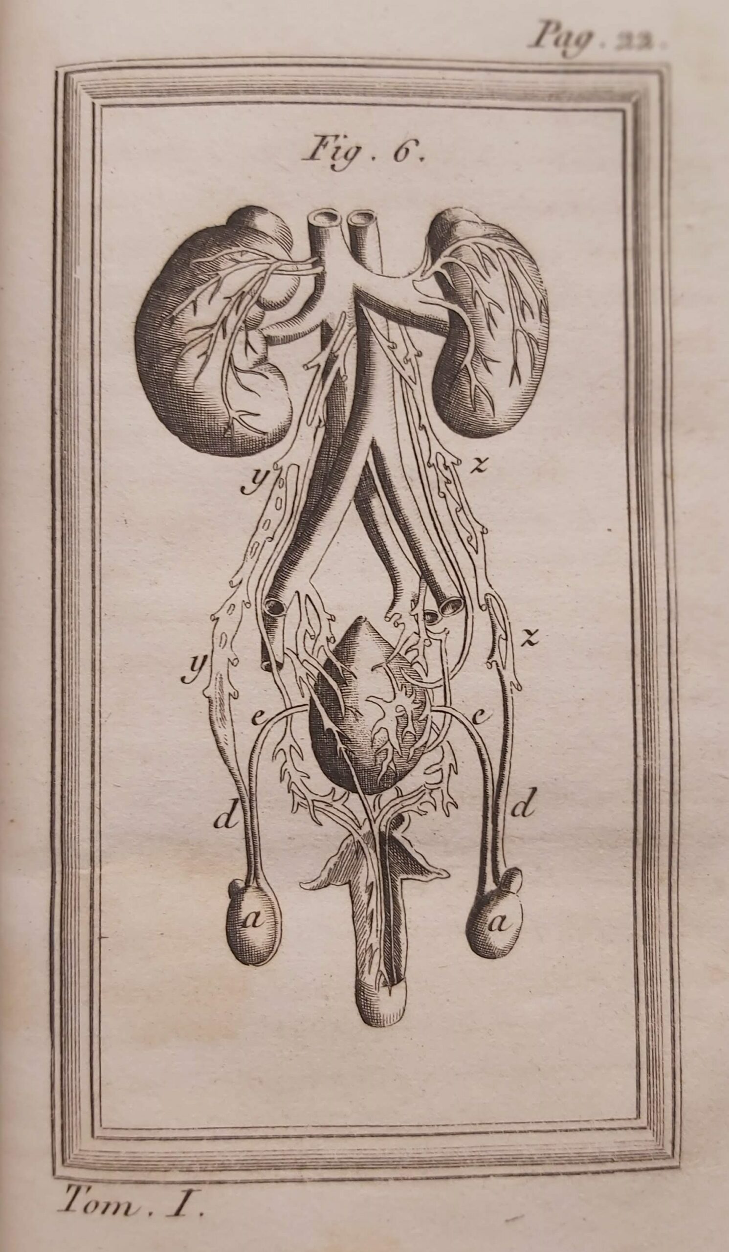 LEGGI FISICHE DELL'AMORE CONJUGALE ossia Storia compiuta delle generazione dell'uomo. …