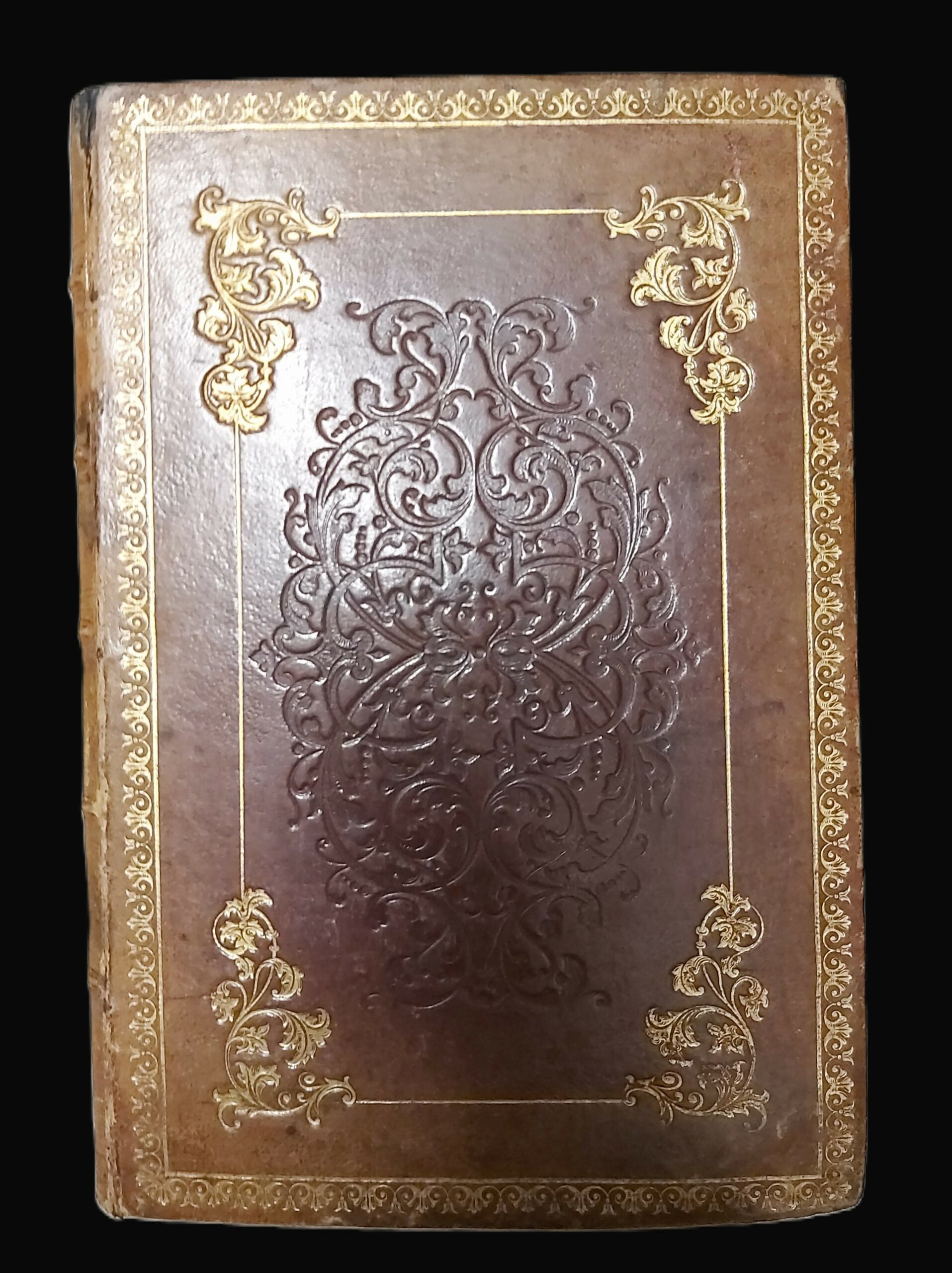 LES COLLECTIONS BOTANIQUES du Musèe Royal de Phisique et d’Histoire …