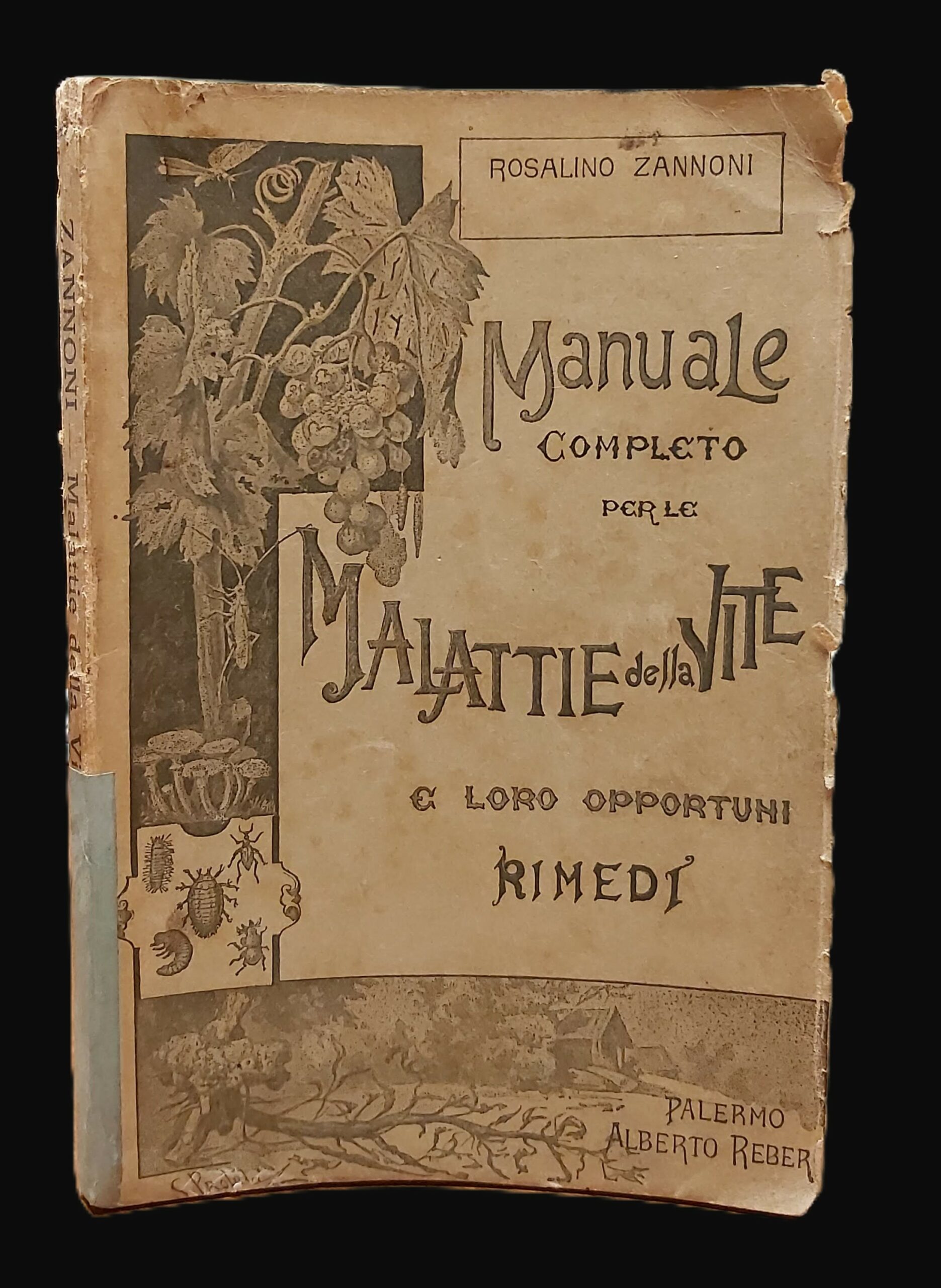 MANUALE COMPLETO per le malattie della vite e loro opportuni …