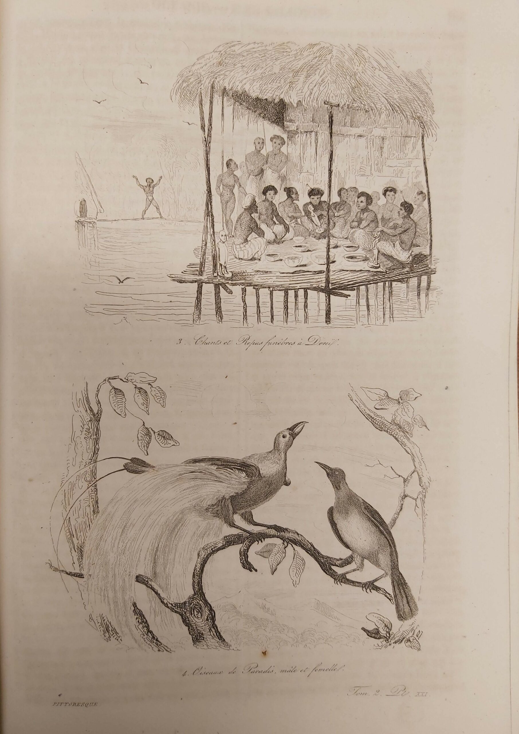 STORIA DELLE SCOPERTE MARITTIME e continentali da’ più remoti tempi …