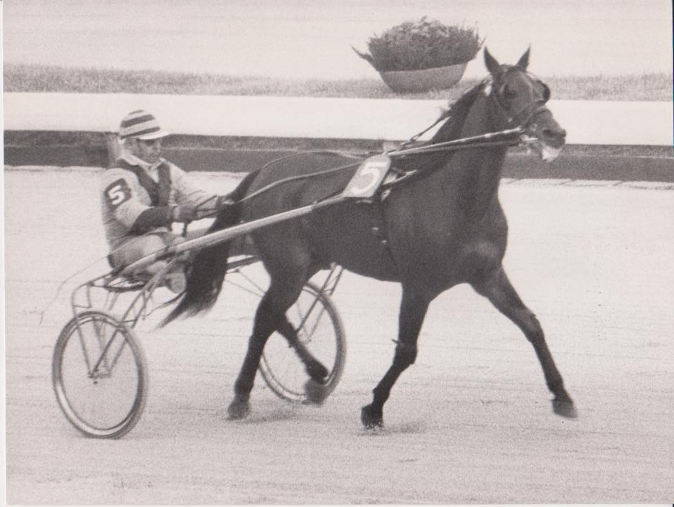 Top Hanover