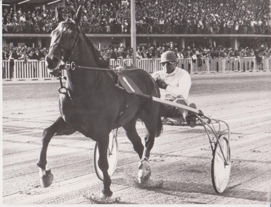 Il guidatore Wayne Eden