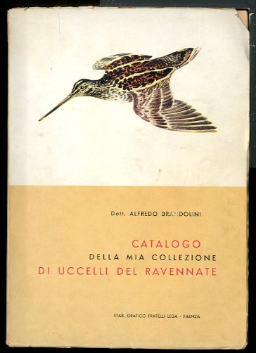 CATALOGO DELLA MIA COLLEZIONE DI UCCELLI DEL RAVENNATE - LS