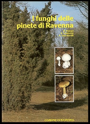 FUNGHI DELLE PINETE DI RAVENNA ( I ) - LS