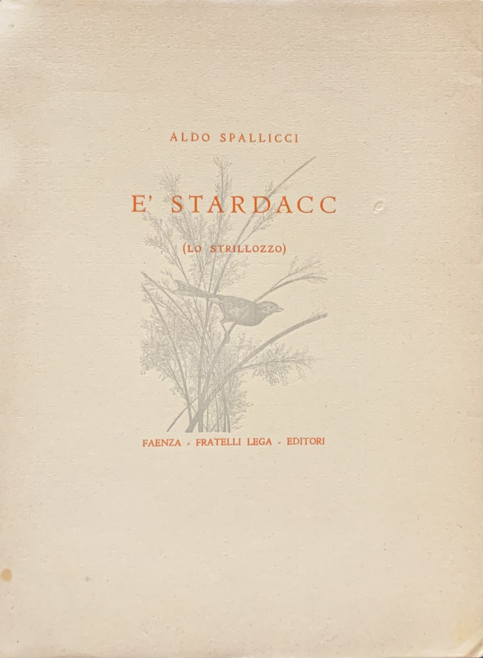 E' Stardacc (Lo Strillozzo)