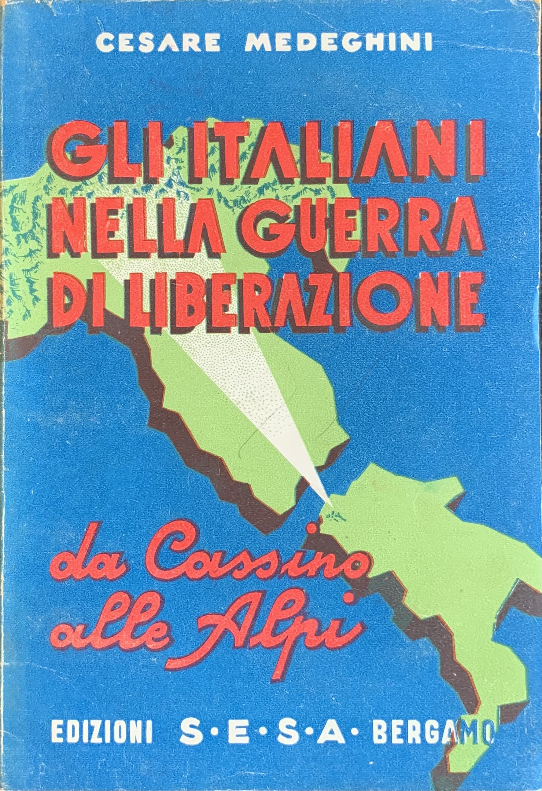 Gli italiani nella guerra di liberazione. Da Cassino alle Alpi