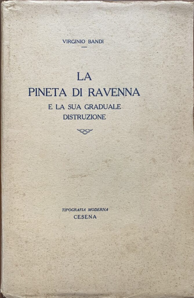 La pineta di Ravenna e la sua graduale distruzione