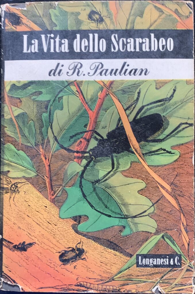La vita dello scarabeo