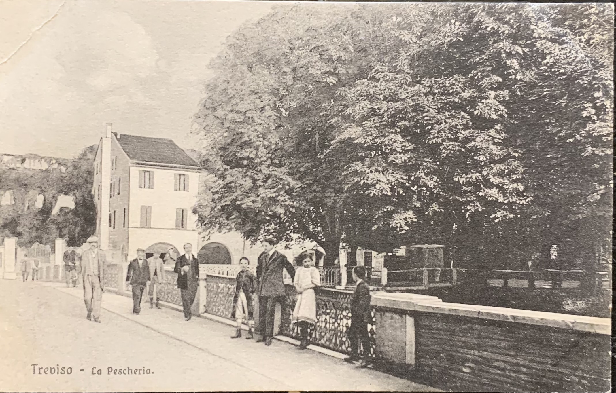 Treviso. La Pescheria 1912