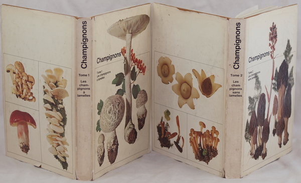 CHAMPIGNONS