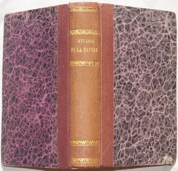 ETUDES DE LA NATURE