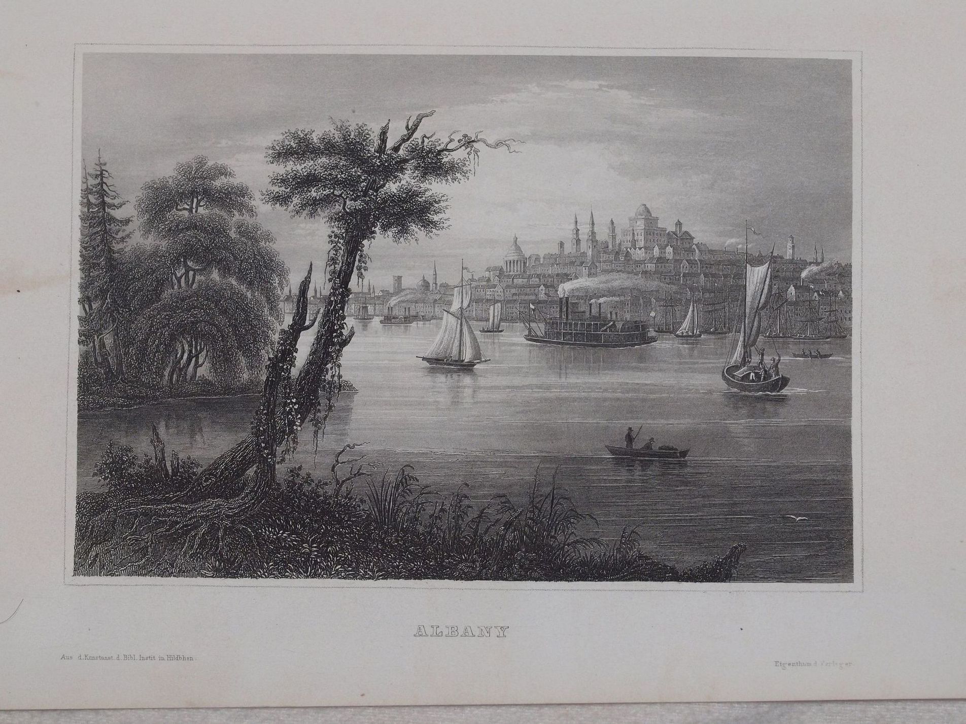 ALBANY Bibliograph instit. In Hildbh.