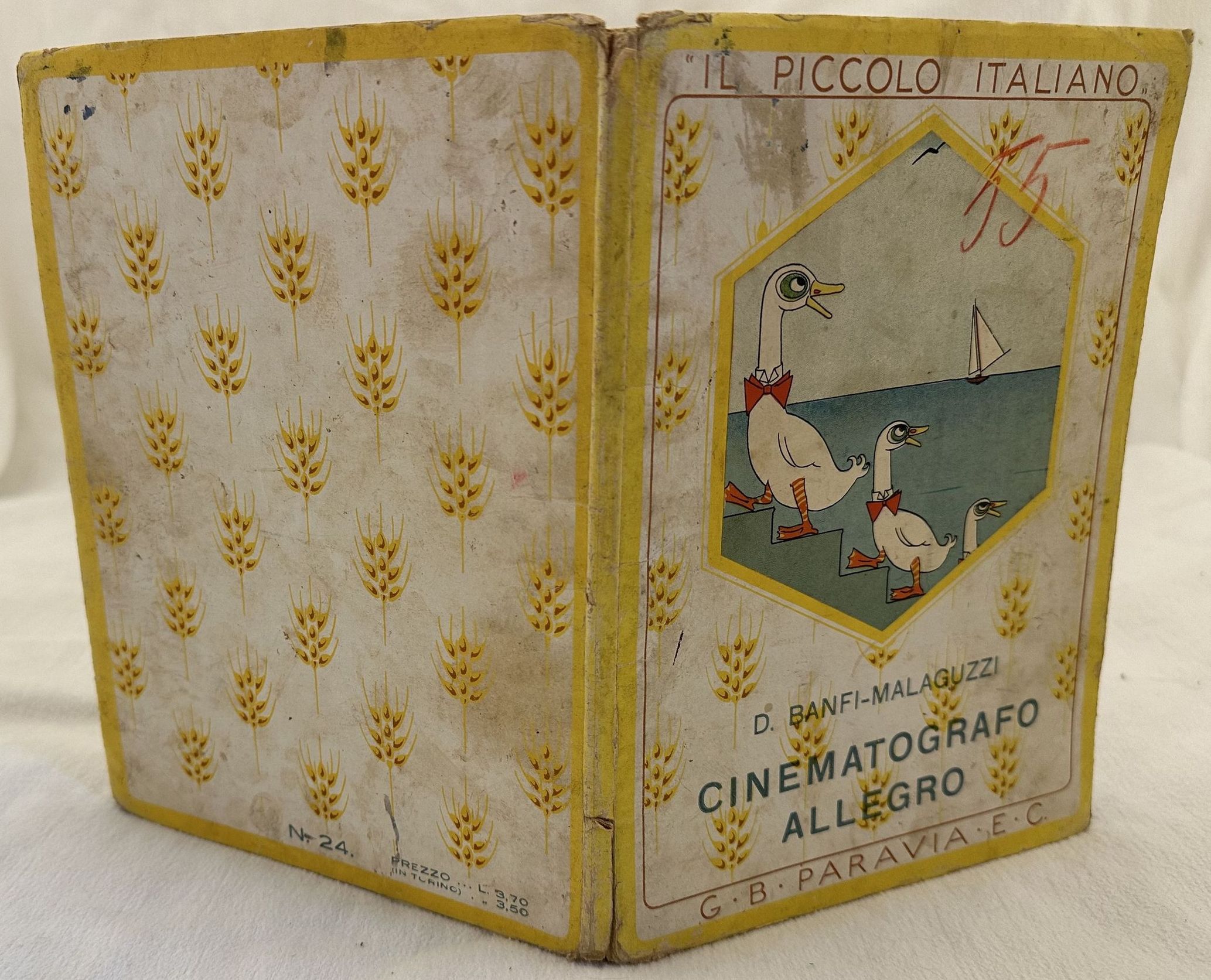 CINEMATOGRAFO ALLEGRO