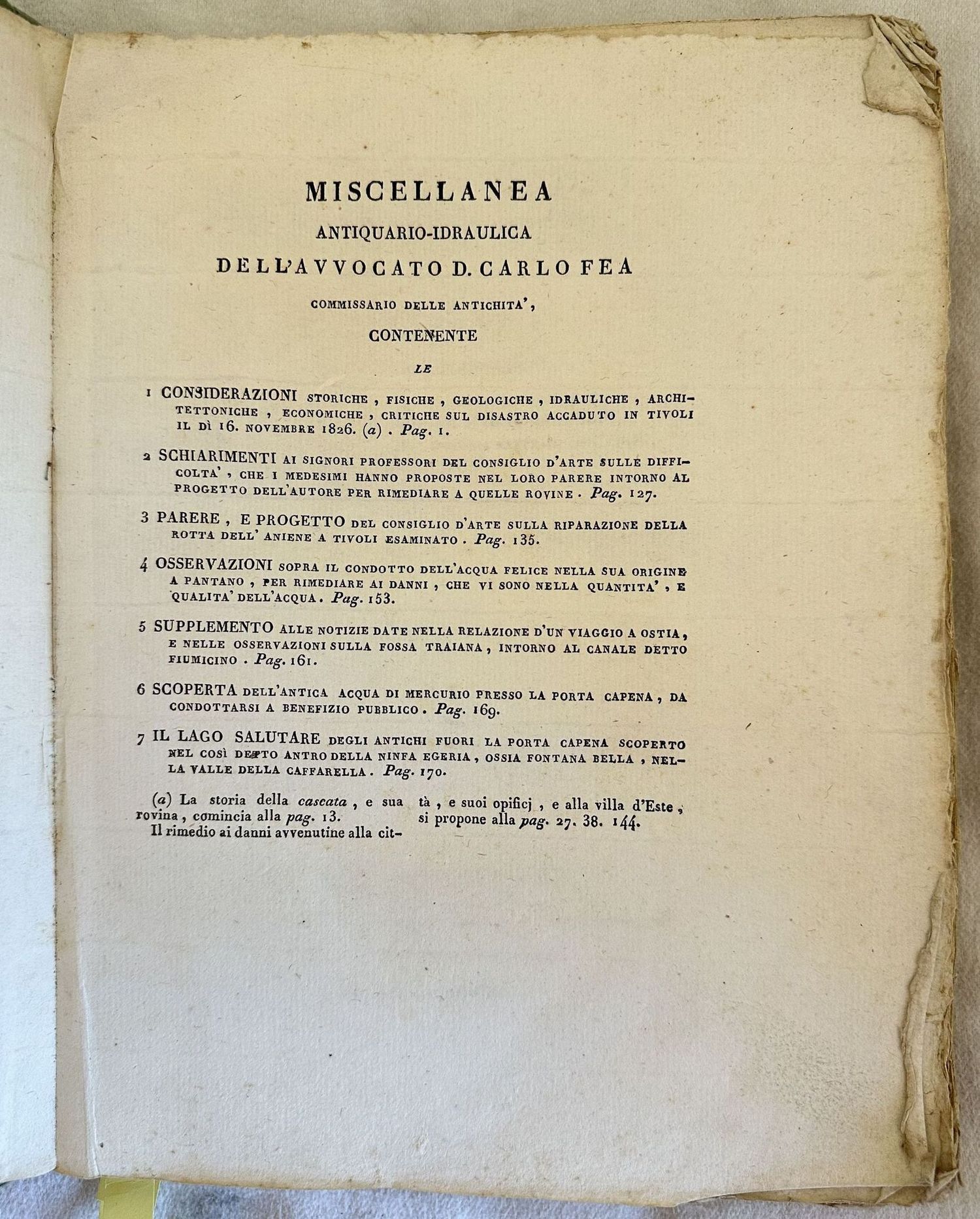 CONSIDERAZIONI STORICHE, FISICHE, GEOLOGICHE, IDRAULICHE, ARCHITETTONICHE, ECONOMICHE, CRITICHE