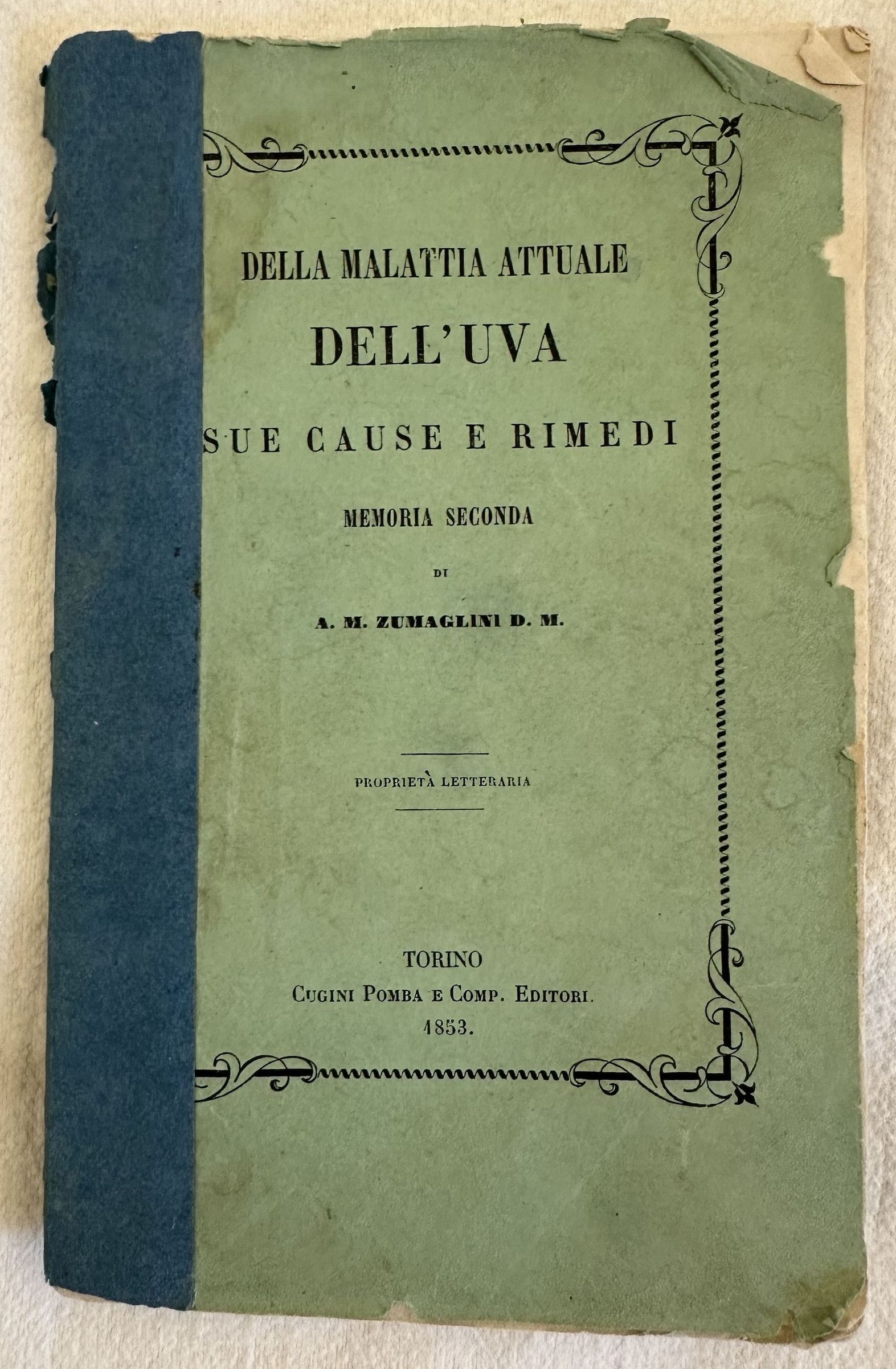 DELLA MALATTIA ATTUALE DELL'UVA SUE CAUSE E RIMEDI MEMORIA SECONDA