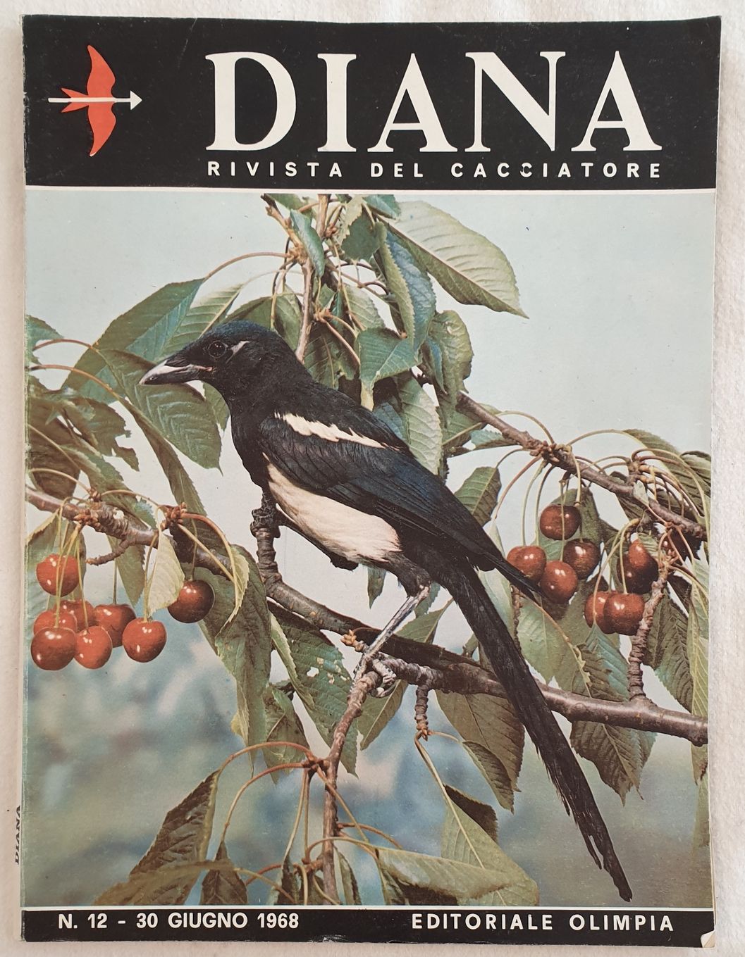 DIANA RIVISTA DEL CACCIATORE 30 GIUGNO 1968