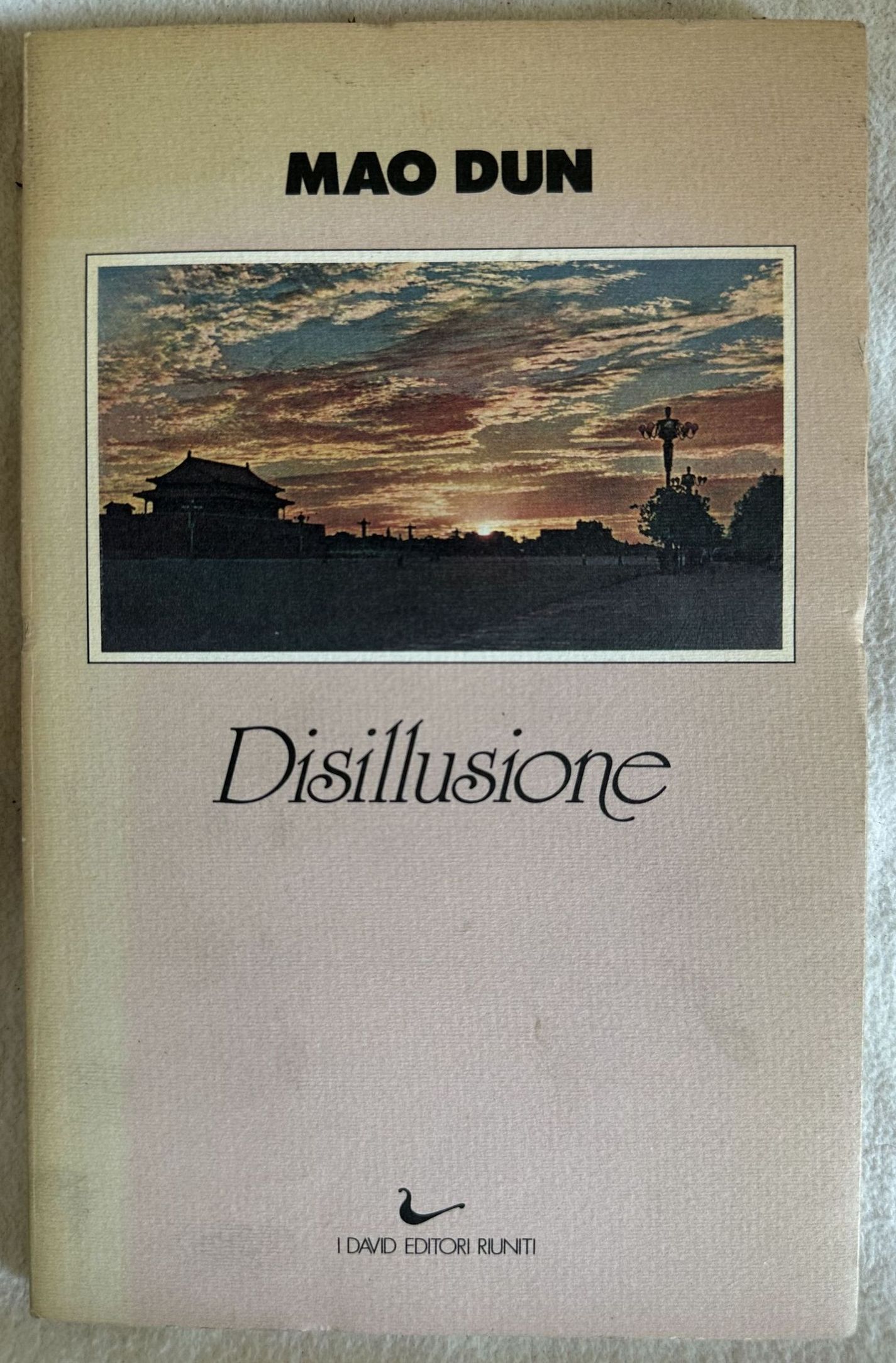 DISILLUSIONE A CURA DI ANNA MARIA ROSSETTI