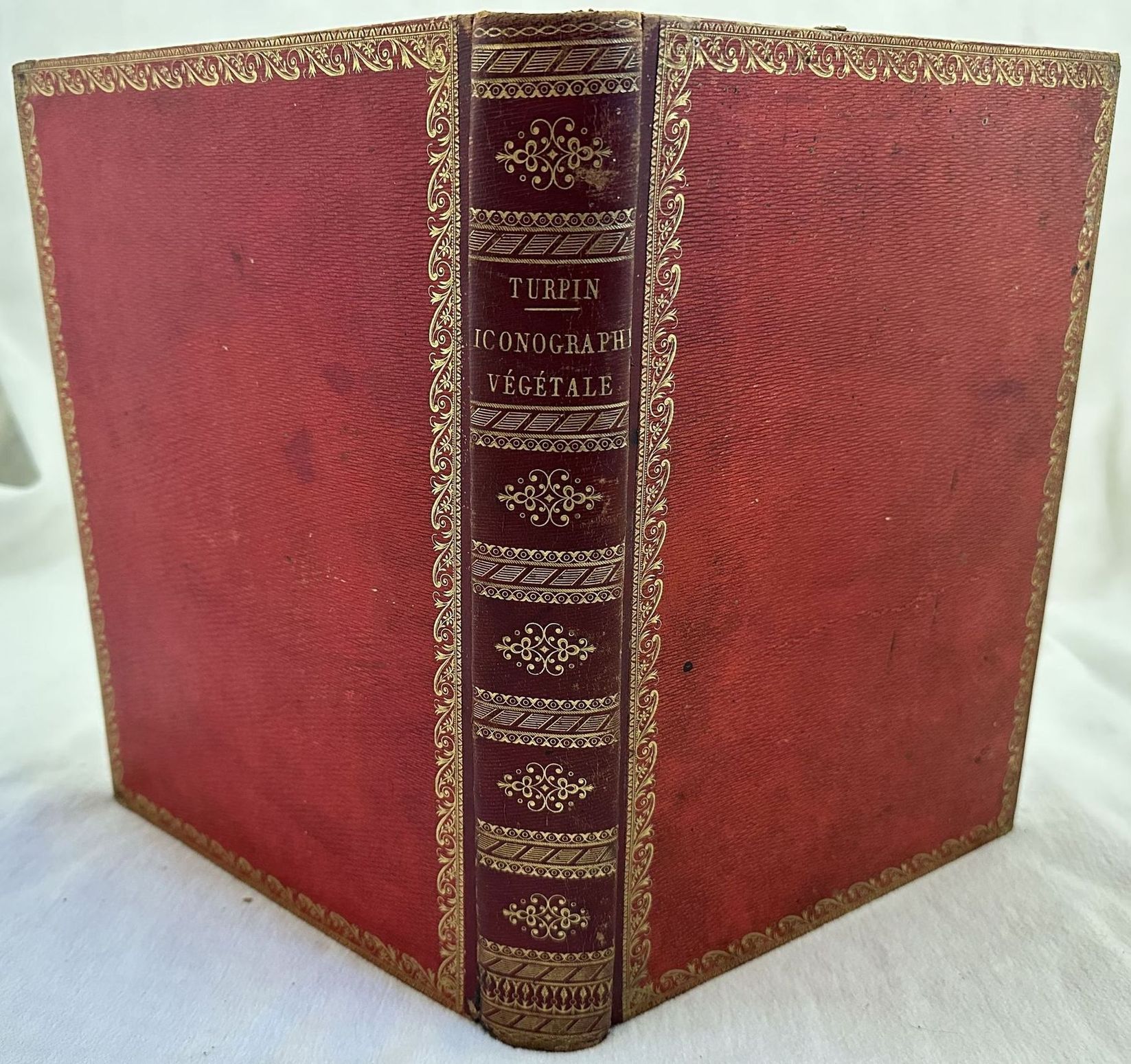 ESSAI D'UNE ICONOGRAPHIE ELEMENTAIRE ET PHILOSOPHIQUE DES VEGETAUX AVEC UN …