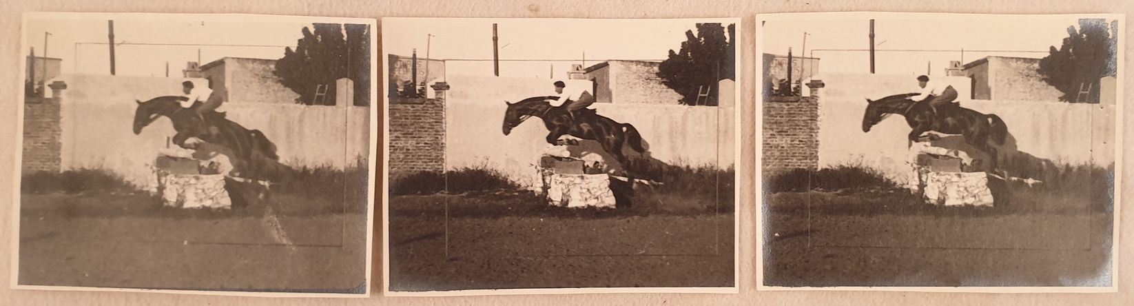 FOTOGRAFIE CAVALLO SALTO AD OSTACOLO