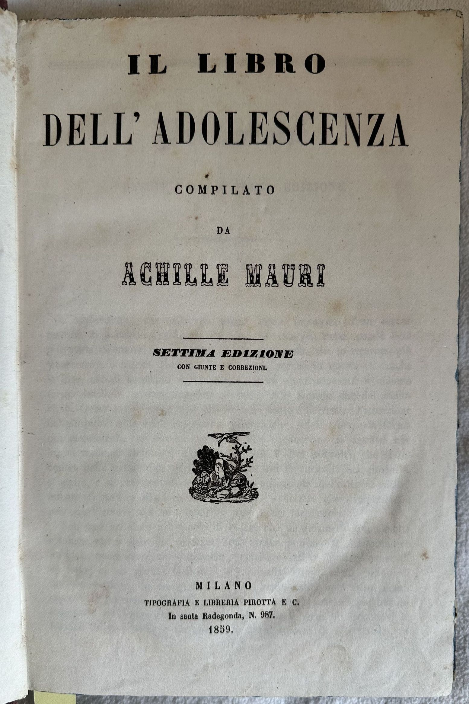 IL LIBRO DELL'ADOLESCENZA