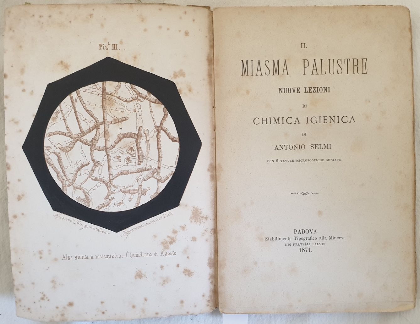 IL MIASMA PALUSTRE NUOVE LEZIONI DI CHIMICA IGIENICA