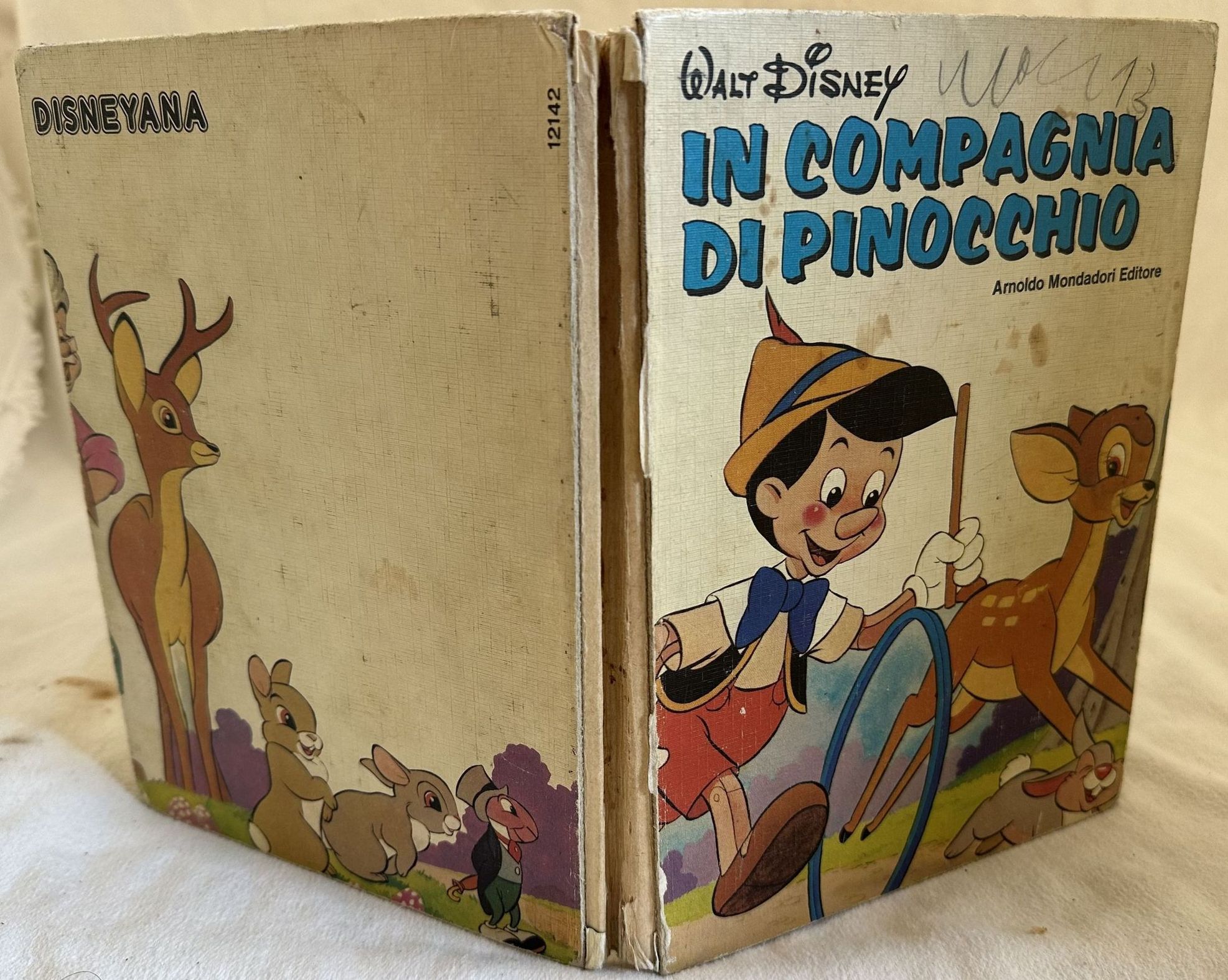 IN COMPAGNIA DI PINOCCHIO